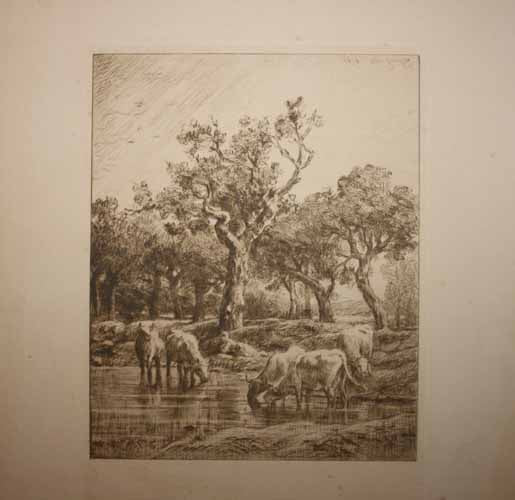 [Troupeau de vaches à l'abreuvoir]. 