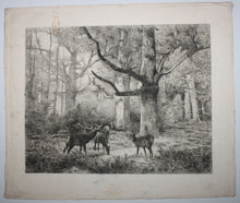 Charger l&#39;image dans la galerie, Forêt de Fontainebleau ou Les Cerfs du Bas-Bréau.
