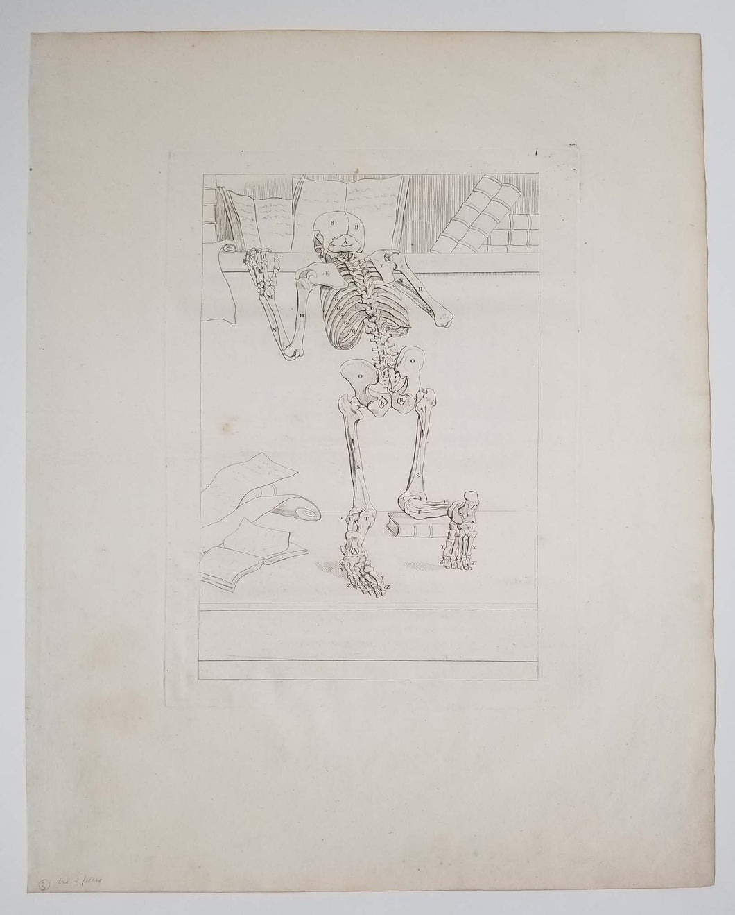 Squelette vu par derrière, agenouillé. 1779.