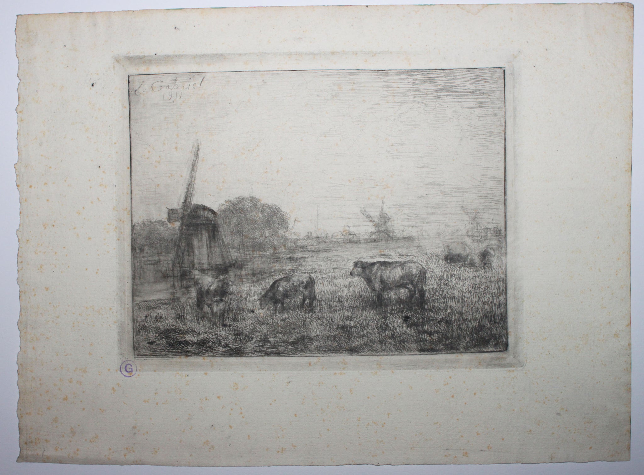 [Hollande, Vaches au patûrage].