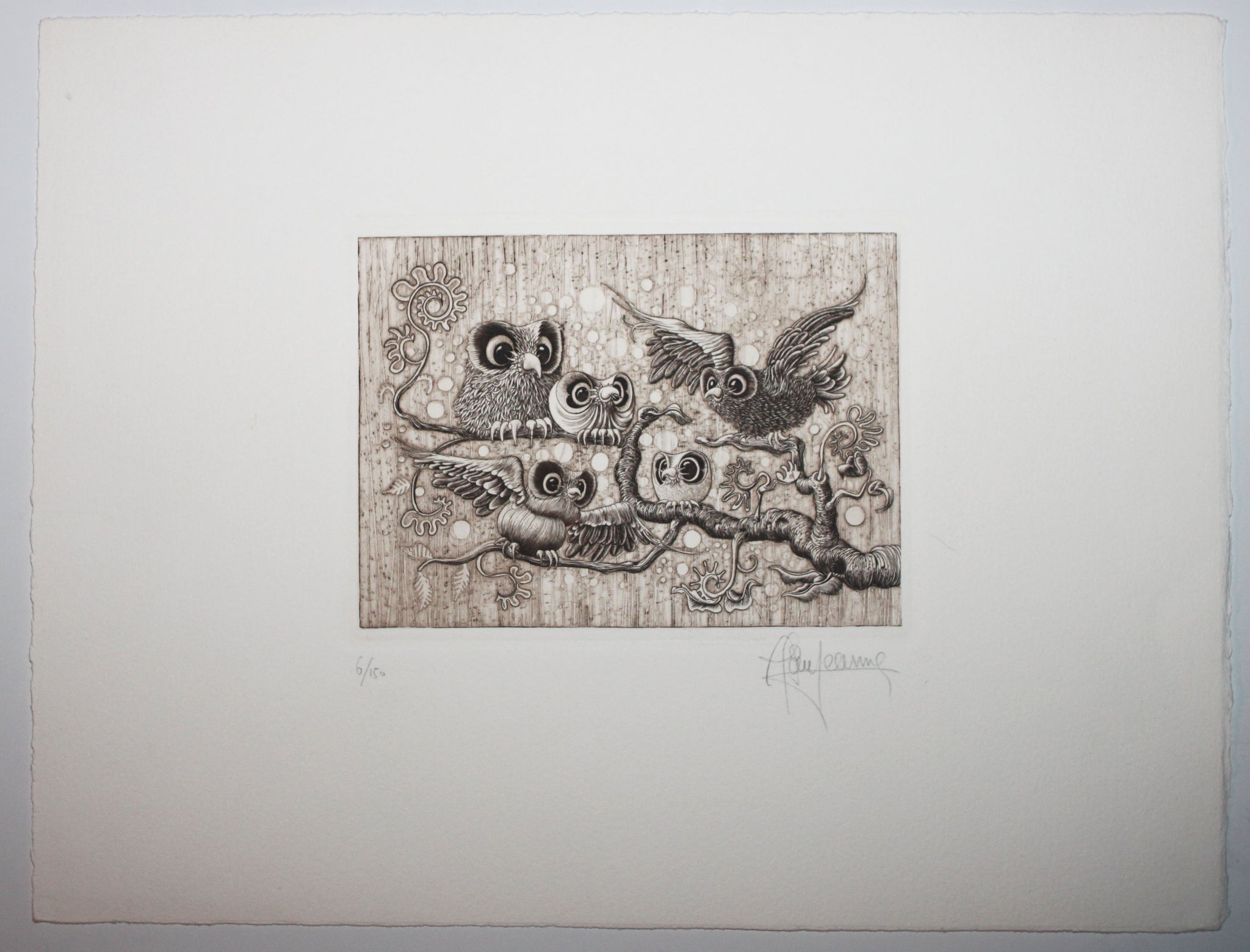 [Cinq chouettes sur une branche]. 