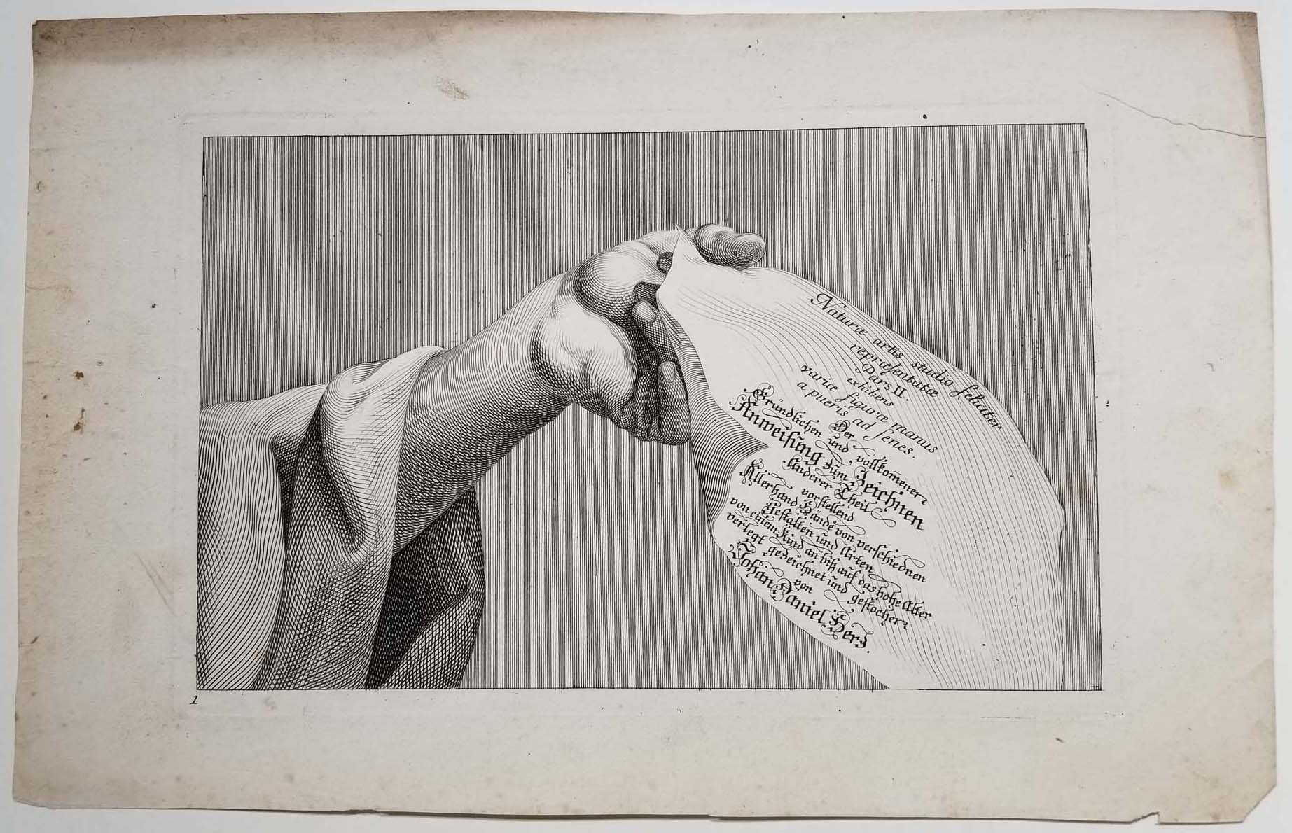 [Etudes de mains]. Naturae artis studio felicite representate pars II. Exhibens varice figurae manus a pueris ad fenes.  c.1720-1730.