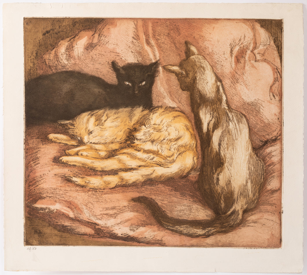 Les Trois chats. 1902.