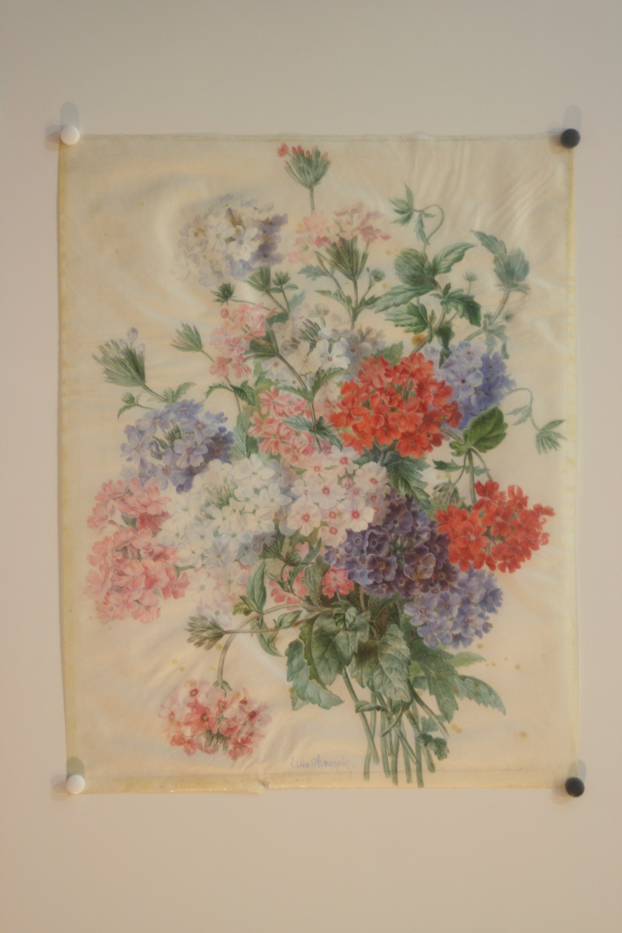 [Bouquet de fleurs].