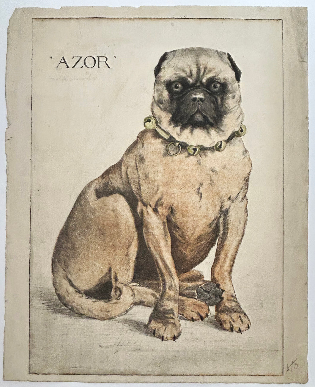 Azor. 1890.