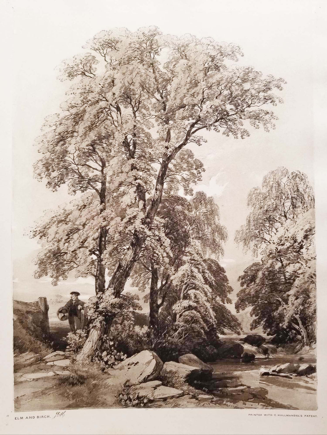 Elm and Birch, from The Park and the Forest. (Orme et bouleau, des parcs et des forêts). 1841.