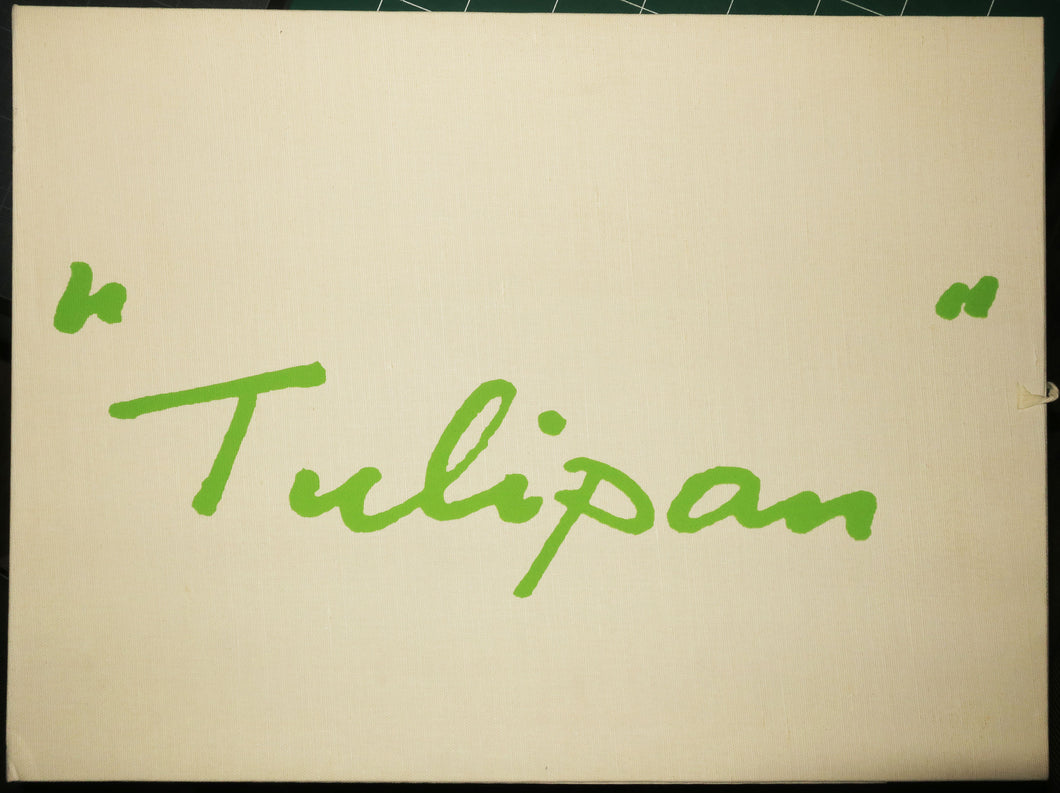 Tulipan, 1973.