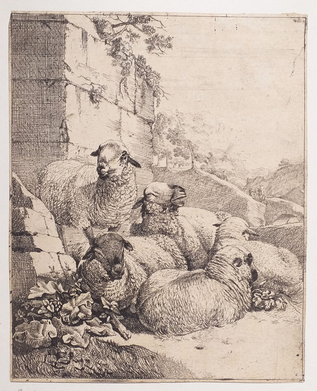 Les moutons au repos.  c.1668-1670.