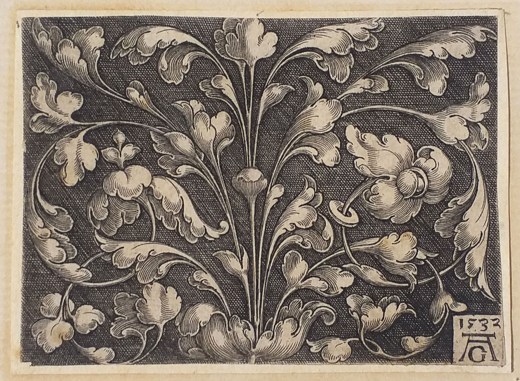 Ornement de vrilles, provenant du milieu. 1532.