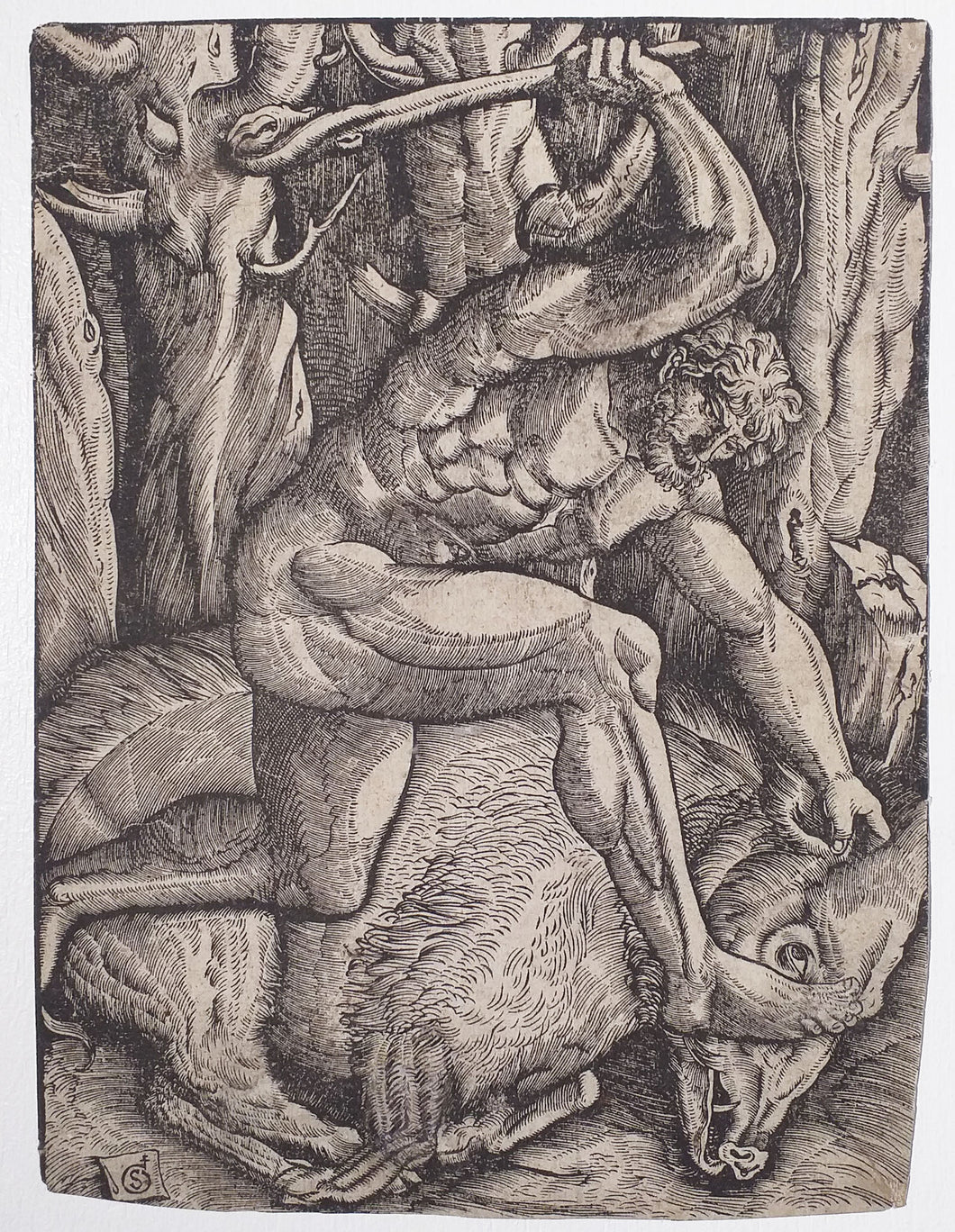 Hercule capturant le sanglier d'Érymanthe. c.1528.