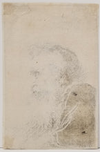 Charger l&#39;image dans la galerie, Buste de vieil homme barbu, de profil droit. 1638.
