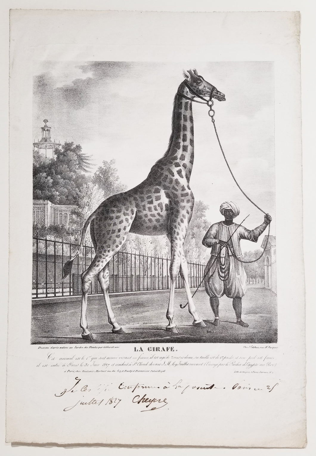 La Girafe.