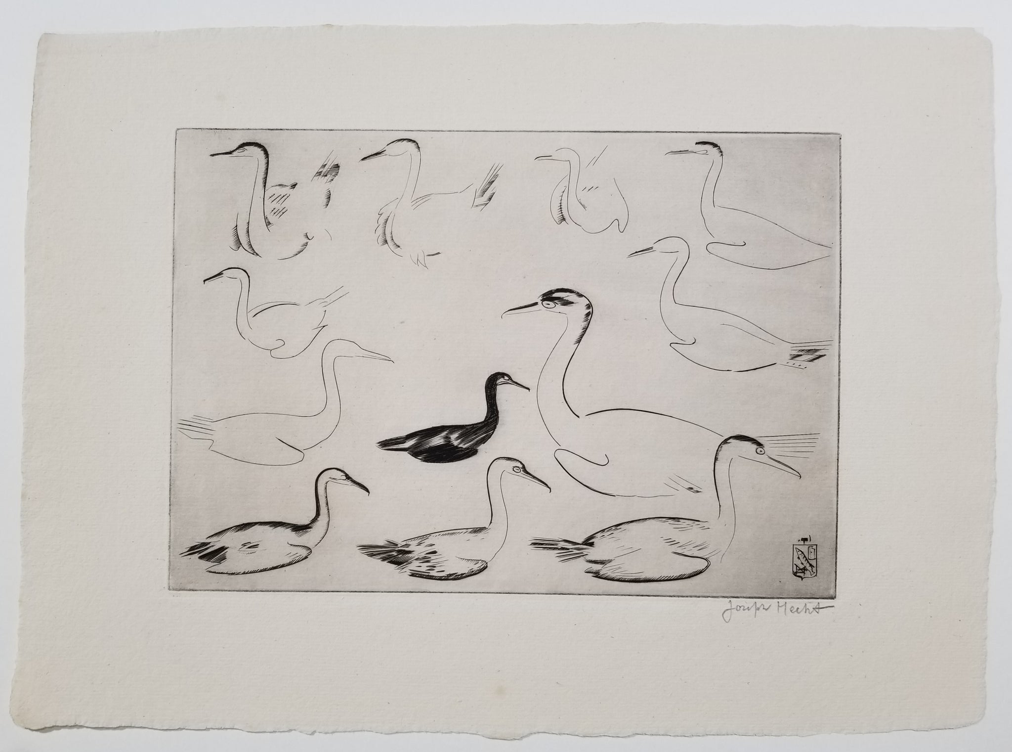 Île des Cormorans. 1938-1939.