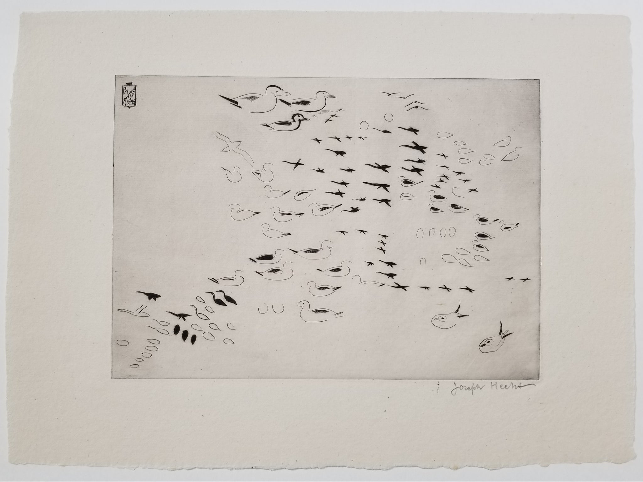 Île des Cormorans. 1938-1939.