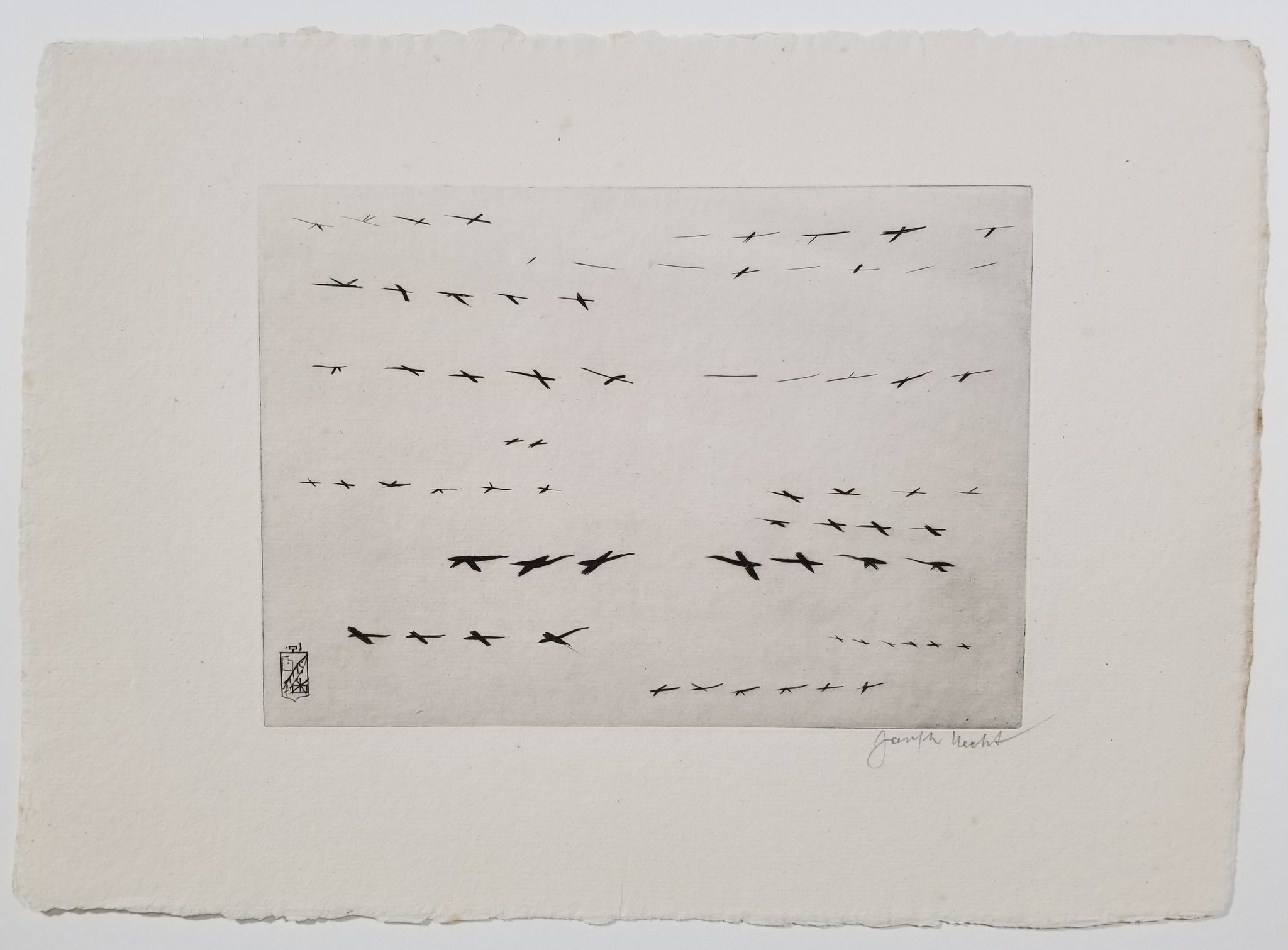 Île des Cormorans. 1938-1939.