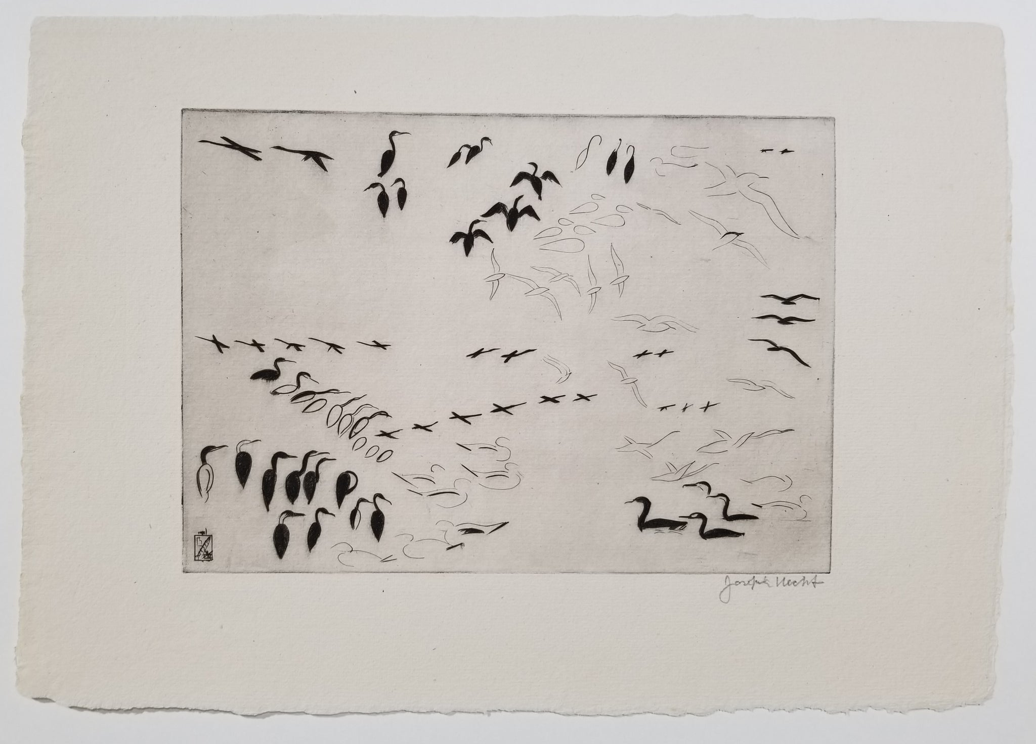 Île des Cormorans. 1938-1939.