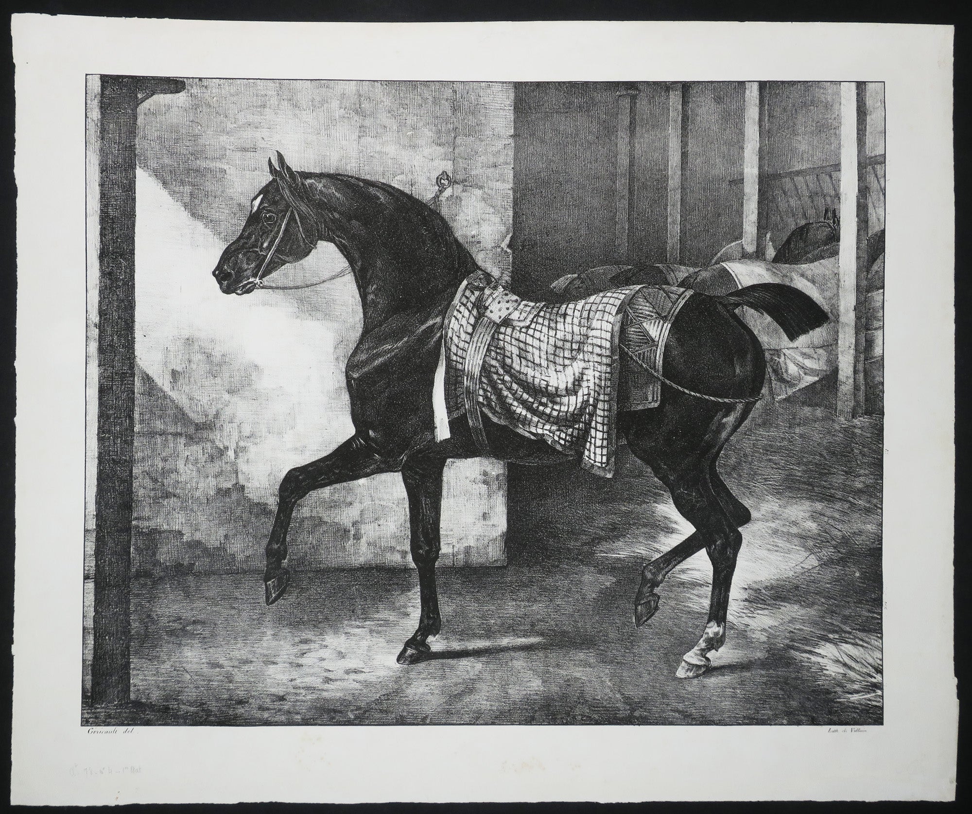 Cheval noir attaché dans une écurie.