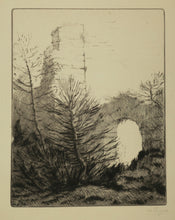 Charger l&#39;image dans la galerie, Les ruines du Monastère.

