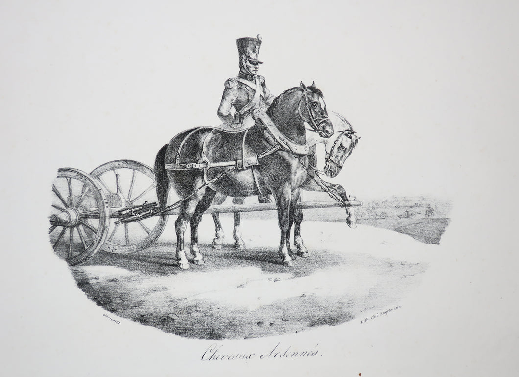 Chevaux Ardennes, ou Chevaux des Ardennes. 1822.