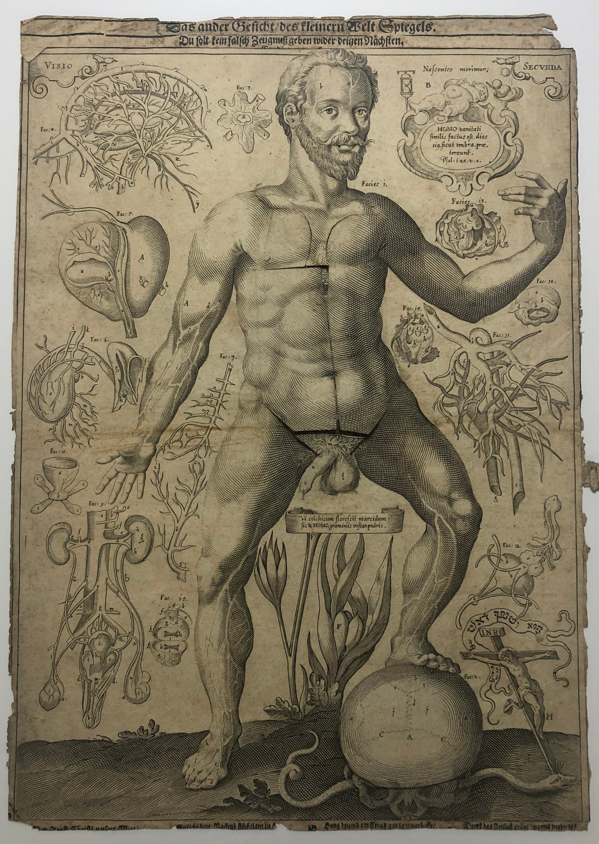 [Seconde vision des miroirs du microcosme]. 