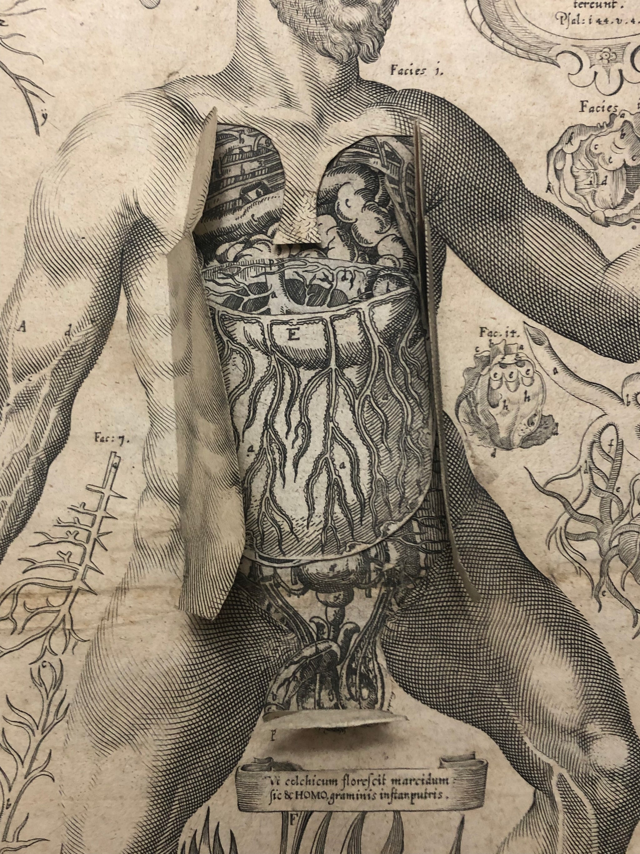 [Seconde vision des miroirs du microcosme]. 