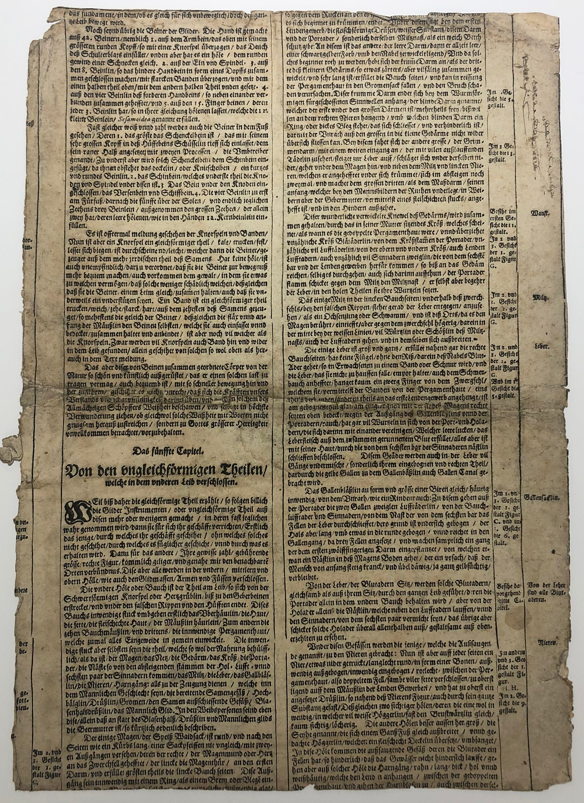 [Seconde vision des miroirs du microcosme]. 