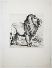 Charger l&#39;image dans la galerie, Lion debout de profil droit. 1866.
