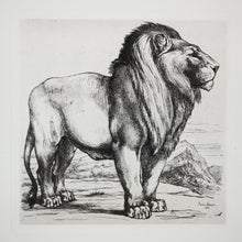 Charger l&#39;image dans la galerie, Lion debout de profil droit. 1866.
