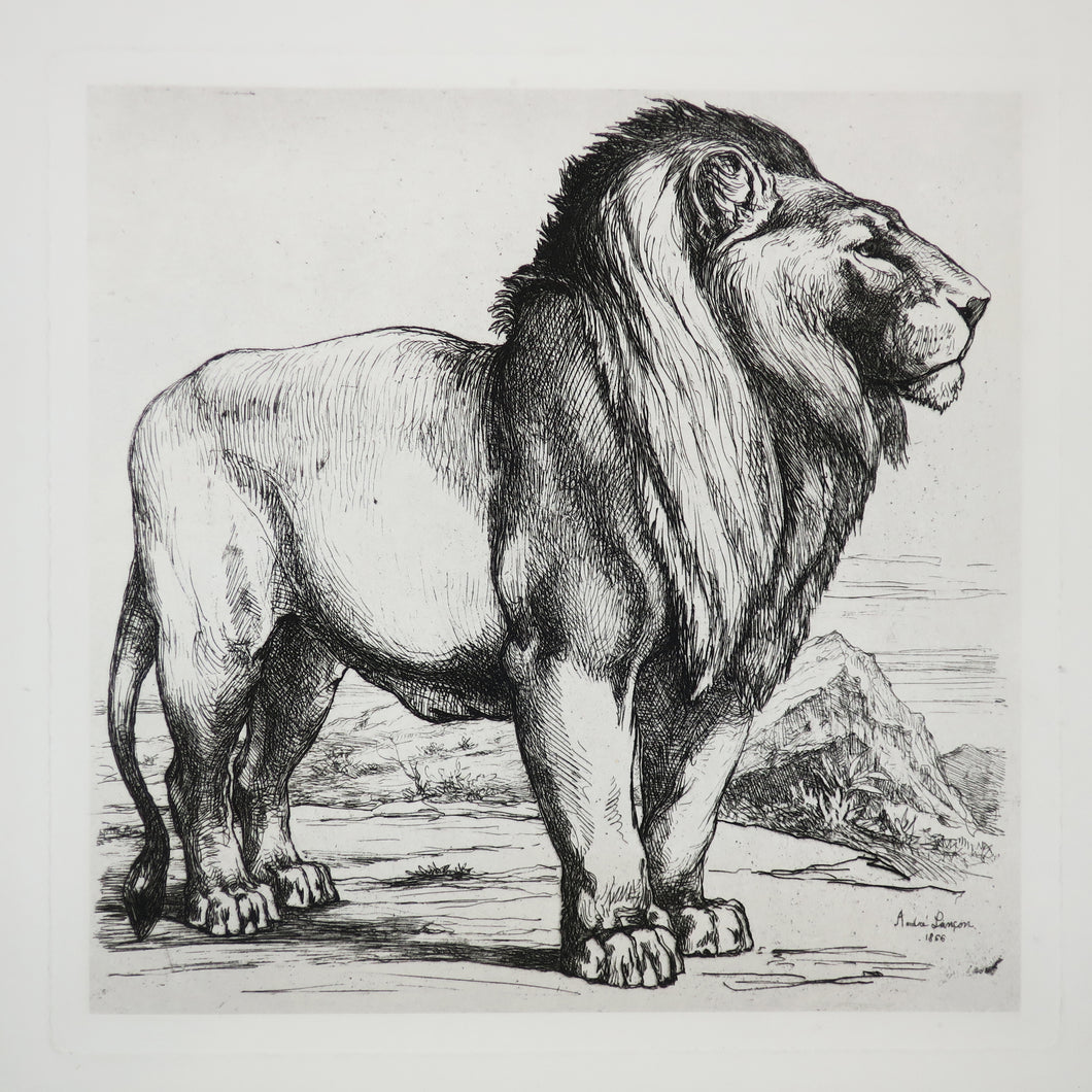 Lion debout de profil droit. 1866.