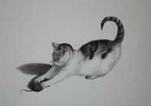 Charger l&#39;image dans la galerie, [Chat et sa proie attrapée entre ses pattes].  c.1820.
