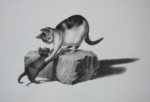 Charger l&#39;image dans la galerie, [Deux chats se câlinant].  c.1820.
