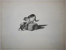 Charger l&#39;image dans la galerie, [Deux chats se câlinant].  c.1820.
