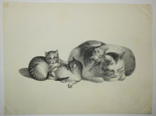 Charger l&#39;image dans la galerie, [Quatre chats, deux au repos et deux autres jouant].  c.1820.
