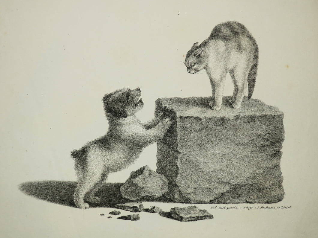 [Un chien et un chat sur un bloc de pierre faisant le dos rond].  c.1820.
