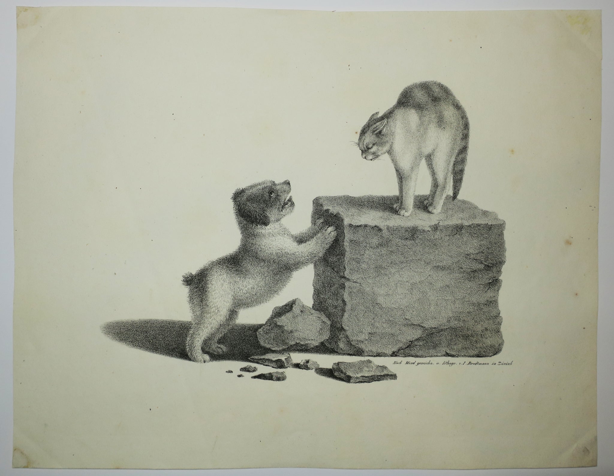 [Un chien et un chat sur un bloc de pierre faisant le dos rond].  c.1820.