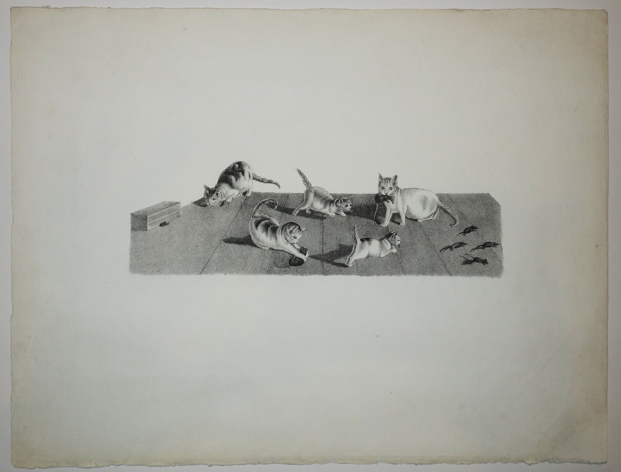 [Chats attrapant des souris].  c.1820.