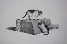 Charger l&#39;image dans la galerie, [Trois chats s&#39;amusant autour d&#39;un bloc de pierre].  c.1820.
