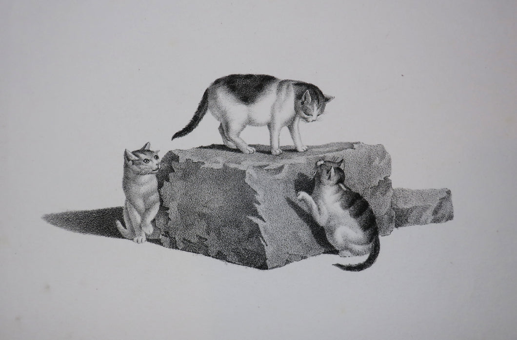 [Trois chats s'amusant autour d'un bloc de pierre].  c.1820.