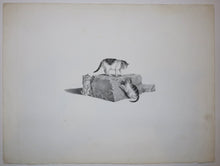 Charger l&#39;image dans la galerie, [Trois chats s&#39;amusant autour d&#39;un bloc de pierre].  c.1820.
