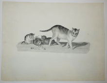 Charger l&#39;image dans la galerie, [Mère chatte avec trois chatons espiègles].  c.1820.
