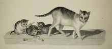 Charger l&#39;image dans la galerie, [Mère chatte avec trois chatons espiègles].  c.1820.
