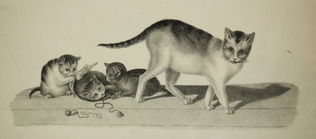 [Mère chatte avec trois chatons espiègles].  c.1820.