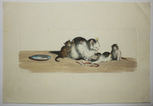 Charger l&#39;image dans la galerie, [Mère chatte et ses trois chatons].
