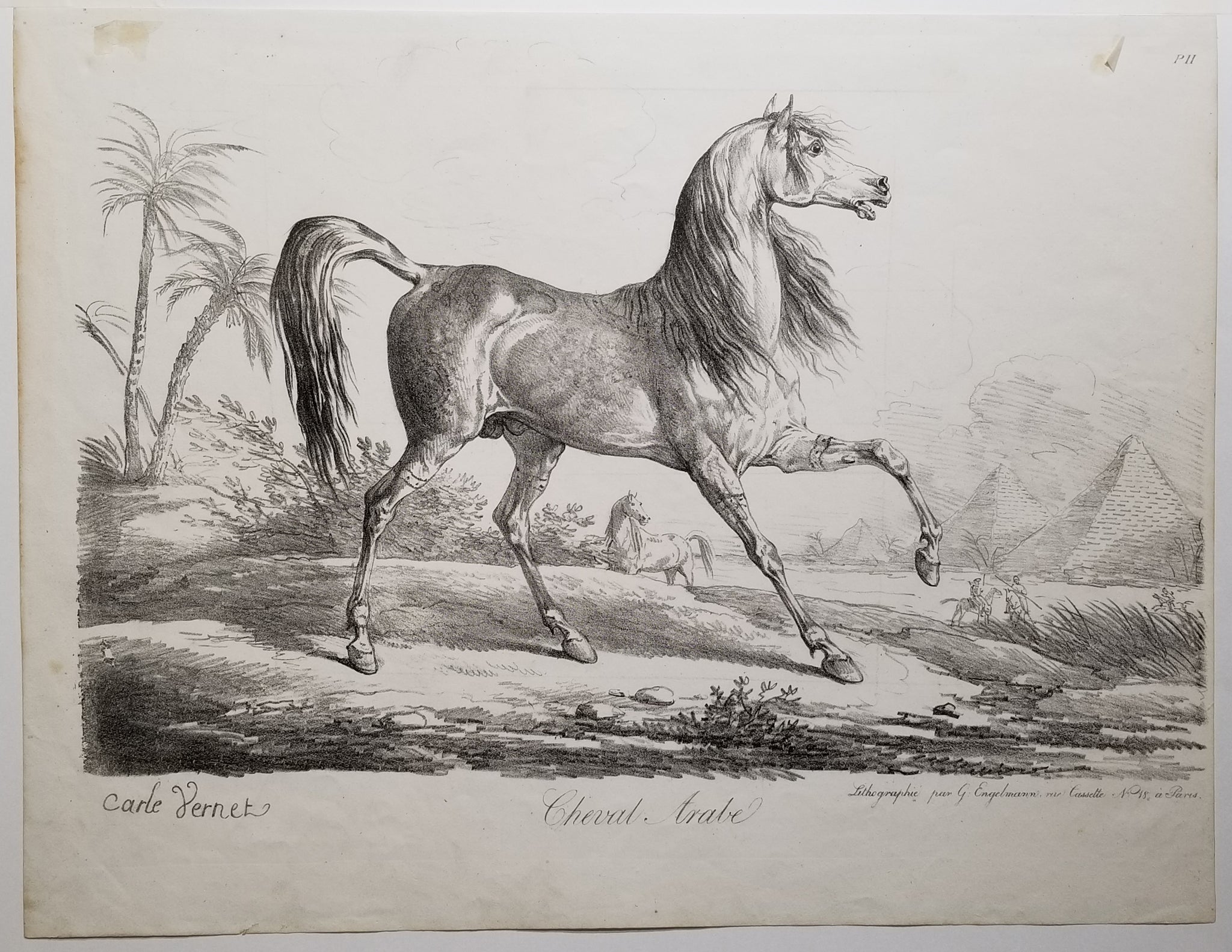 Cheval Arabe. c.1820.