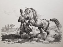 Charger l&#39;image dans la galerie, Cheval Persan. c.1820.
