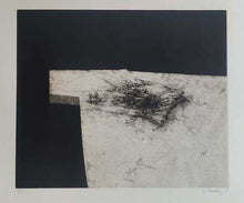 Charger l&#39;image dans la galerie, Mesa y Mantel I. 2001
