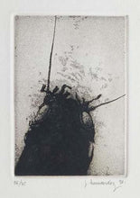 Charger l&#39;image dans la galerie, Insecto II. 1990
