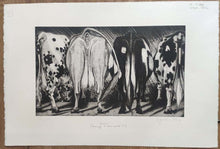 Charger l&#39;image dans la galerie, Vaches (hommages à Géricault!!). 1992
