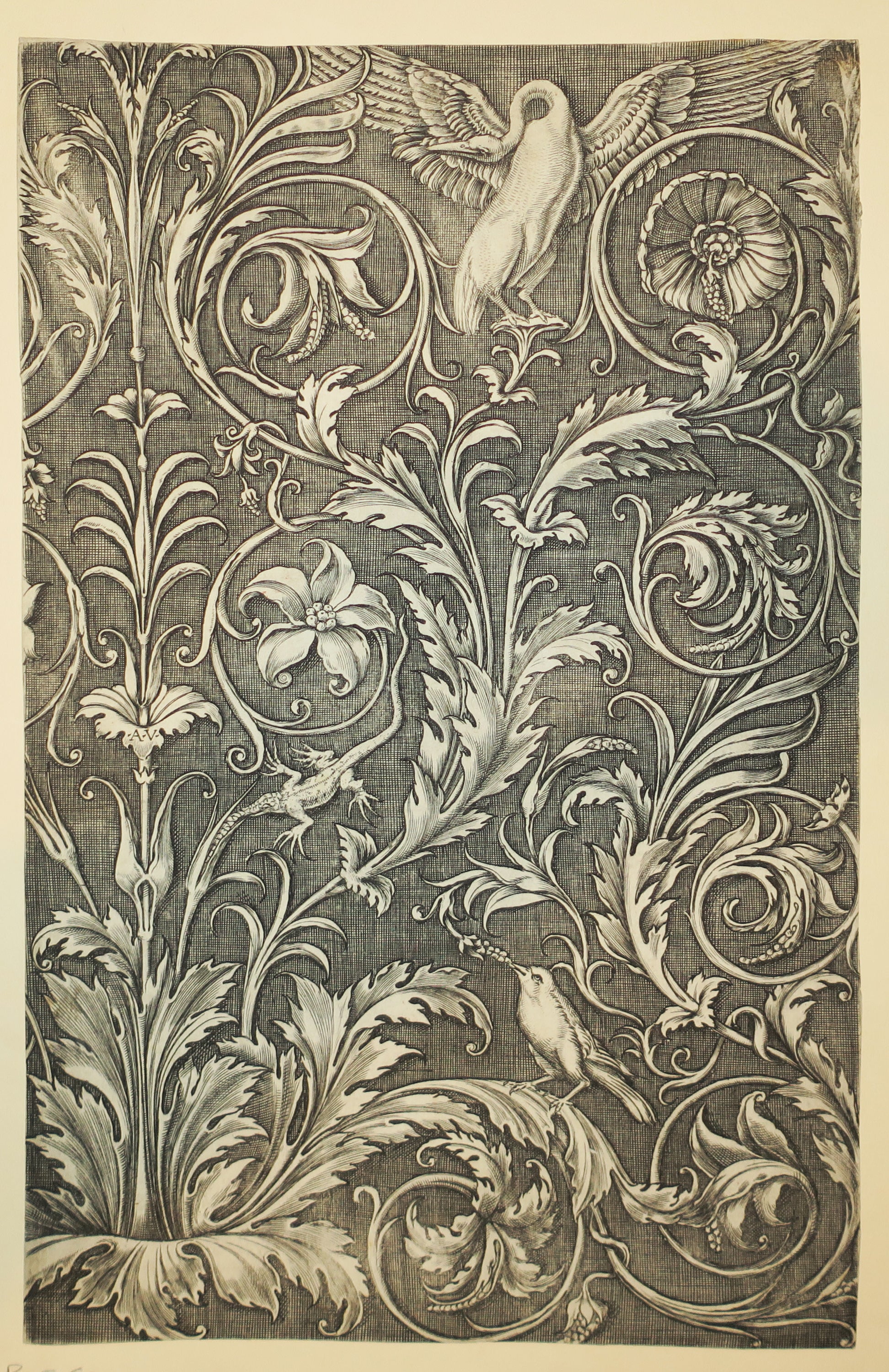 Panneau d'ornement avec acanthe et cygne.  c.1530-1535.