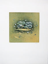 Charger l&#39;image dans la galerie, Histoire de terre. 1978.
